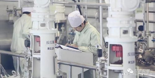 煙臺一季度經濟運行實現 開門穩(wěn) 開門紅