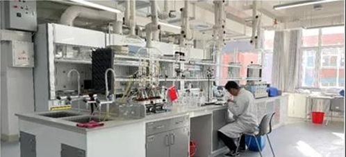 山東工業技師學院海洋生化系化學制藥專業