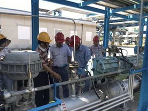 揚(yáng)子石化 揚(yáng)州化工園區(qū)烯烴管線通過安全設(shè)施竣工驗收