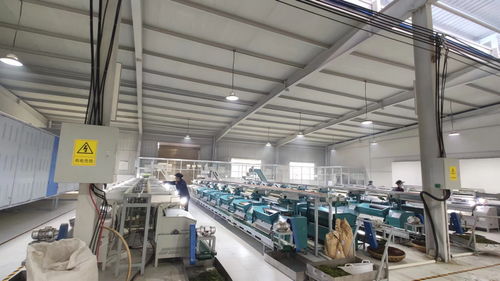 2023年貴州技能大賽 石阡苔茶杯 第五屆評茶師職工職業(yè)技能大賽在石阡舉辦