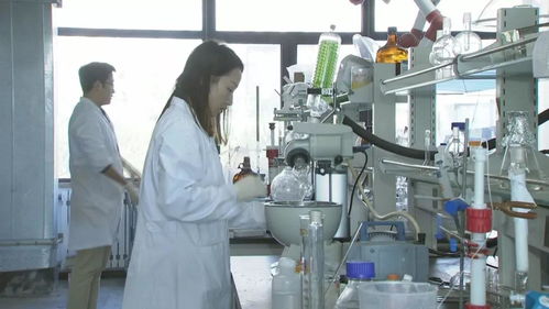 投資青島就是投資未來